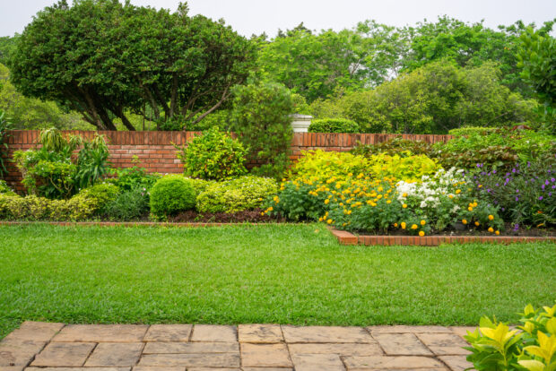 How to Keep Your Lawn Green in Burlington County Without Wasting Water