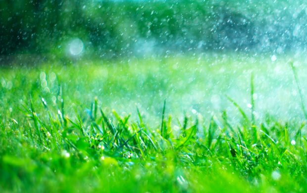 Top Benefits of Rain Sensor Sprinkler Systems in Medford, NJ