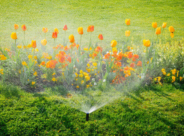 How Smart Sprinkler Systems Conserve Water in Camden County, NJ