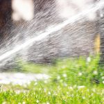 Sprinkler,Of,Automatic,Watering.,Watering,The,Lawn,With,An,Automatic
