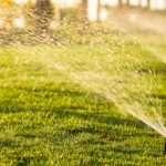 Sprinkler,Head,Watering,The,Bush,And,Grass,In,The,Garden