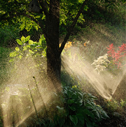 Sprinkler System Companies