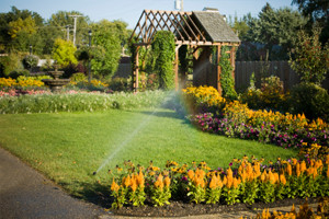 Sprinkler System Service